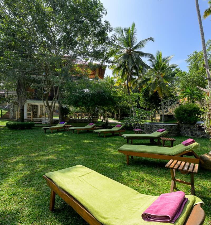 Garden view