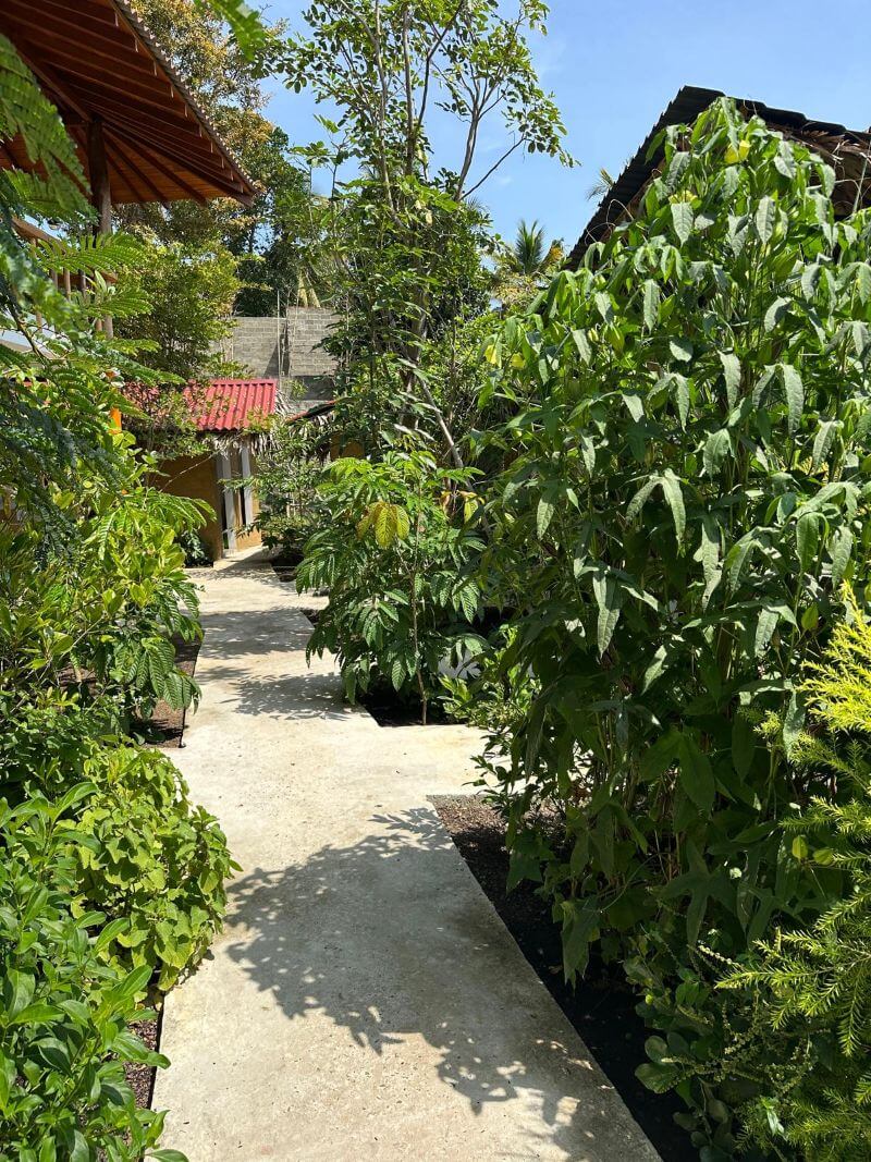 Ansicht Kräutergarten