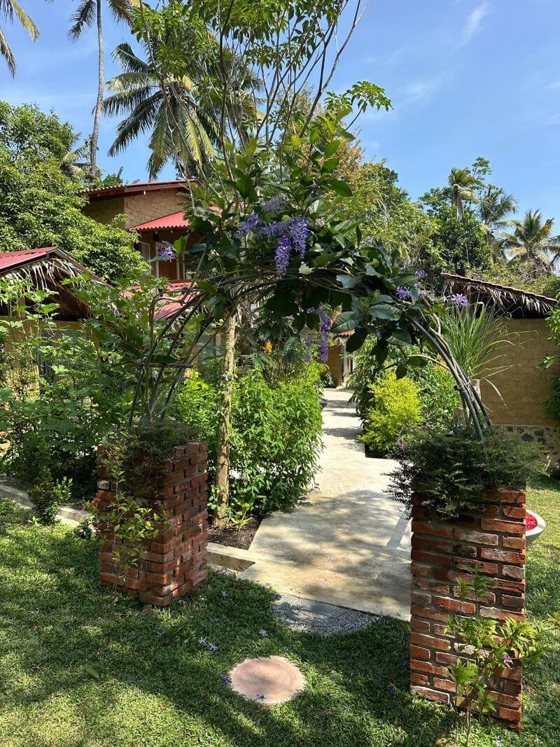 Ansicht Kräutergarten