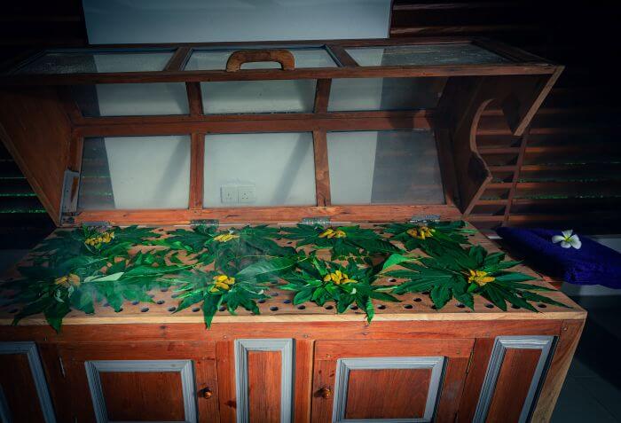 Ayurveda Behandlung